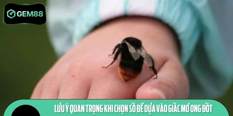 Lưu ý quan trọng khi chọn số đề dựa vào giấc mơ ong đốt