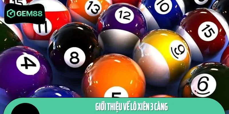 Giới thiệu về lô xiên 3 càng
