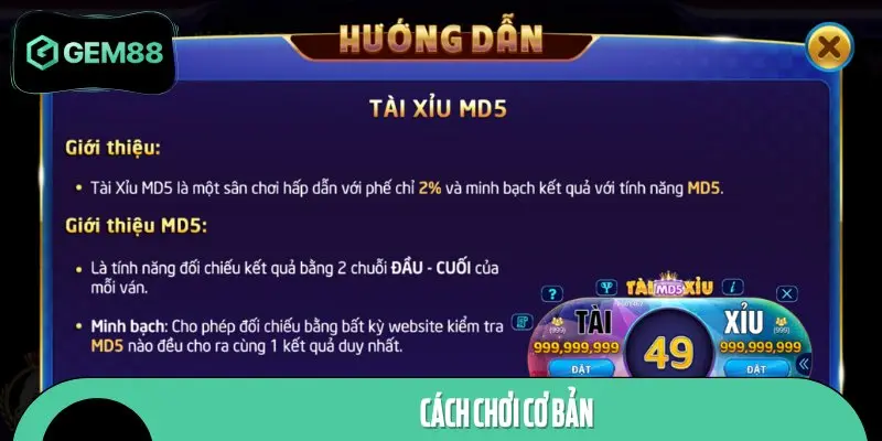 Quy định chơi cơ bản mà ai cũng cần phải ghi nhớ thật kỹ
